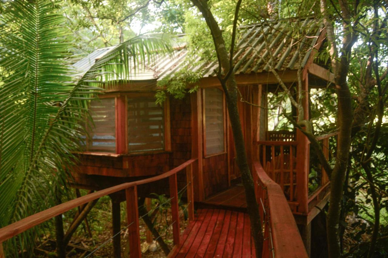 Tukulolo Treehouses Makaunga Esterno foto