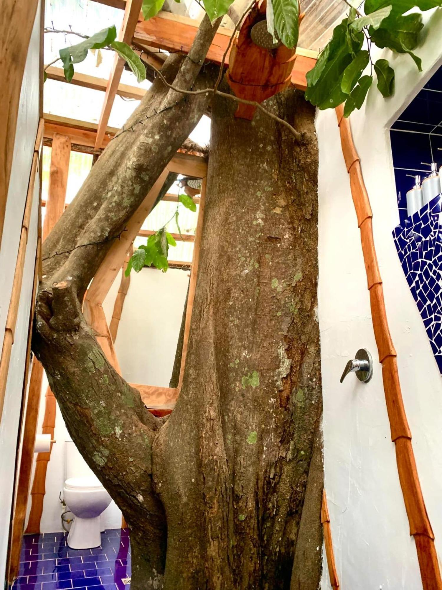 Tukulolo Treehouses Makaunga Esterno foto